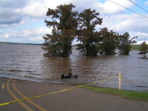 It has been three years since D'Arbonne looked like this -- the road to the public fishing ramp off Hwy. 33. Let's hope it doesn't get there this spring.