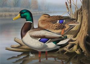 Last year's winning Louisiana State Duck Stamp entry