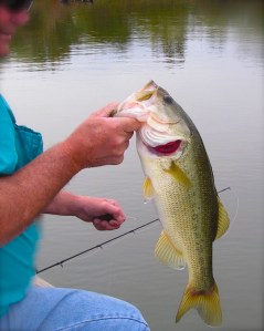 George with a nice pre-front largemouth