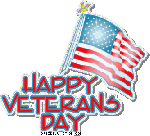 veterans-day-flag