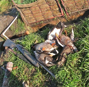 KONICA MINOLTA DIGITAL CAMERA