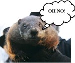 Punxsutawney-Phil-