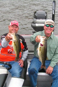 Elshout & Price with two good D'Arbonne bass