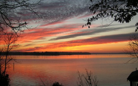 KONICA MINOLTA DIGITAL CAMERA