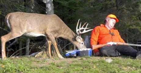 Being alert is the key to successful deer hunting. And it's always good to be close to where they are eating!