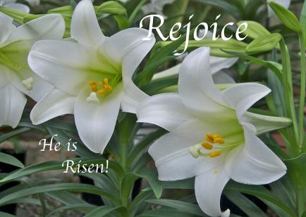 rejoice-he-is-risen-michael-peychich