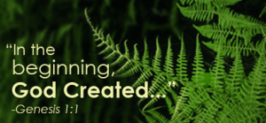 Screen Shot 2015-05-15 at 8.37.41 AM