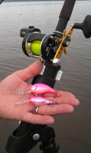 KONICA MINOLTA DIGITAL CAMERA