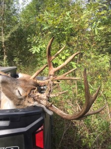 Photo - Louisiana Bowhunter