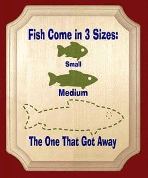 Screen Shot 2015-10-12 at 10.24.59 AM