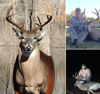 Screen Shot 2016-02-19 at 8.48.35 AM