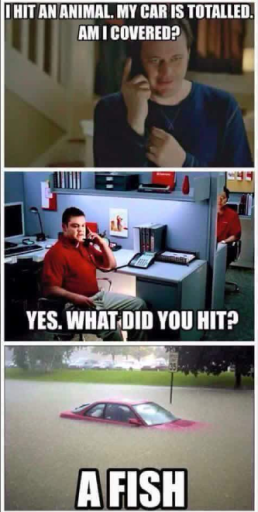 Screen Shot 2016-03-14 at 8.49.06 PM