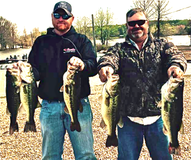 Screen Shot 2016-03-20 at 8.10.25 PM