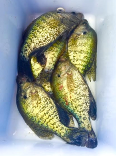 Screen Shot 2016-04-13 at 4.38.47 PM