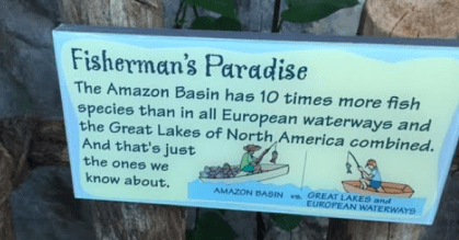 Screen Shot 2016-04-30 at 3.17.47 PM