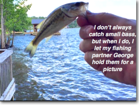 Screen Shot 2016-05-02 at 8.52.15 AM