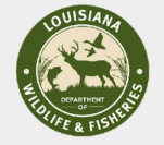 Screen Shot 2016-06-23 at 7.46.24 PM