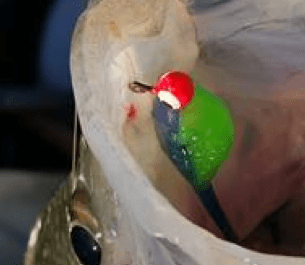 Screen Shot 2016-06-26 at 9.51.47 PM