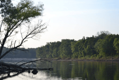 Screen Shot 2016-07-11 at 7.14.34 PM