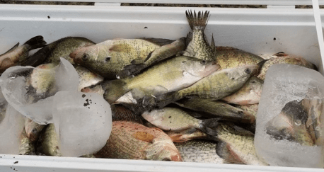 Screen Shot 2016-07-16 at 5.06.25 PM