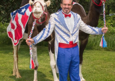 Screen Shot 2016-07-17 at 5.36.09 PM