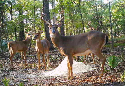 Screen Shot 2016-09-04 at 2.56.28 PM