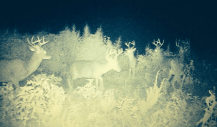 screen-shot-2016-09-18-at-6-23-05-pm