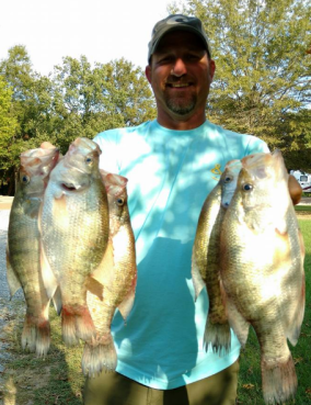 screen-shot-2016-09-26-at-10-11-45-pm