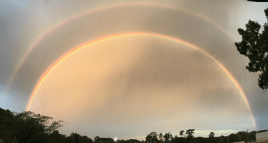 screen-shot-2016-11-02-at-8-02-37-pm