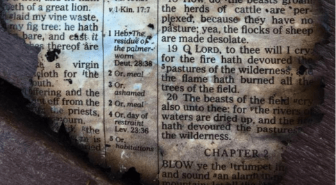 screen-shot-2016-11-29-at-8-01-32-pm