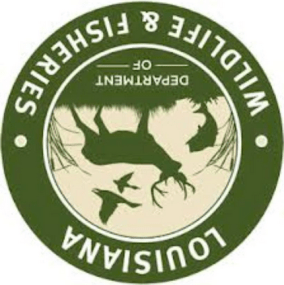 screen-shot-2016-11-30-at-12-42-49-pm