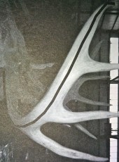 img_20161214_215726412