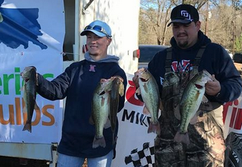 screen-shot-2017-01-31-at-10-57-46-am