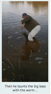 screen-shot-2017-02-05-at-12-01-07-pm