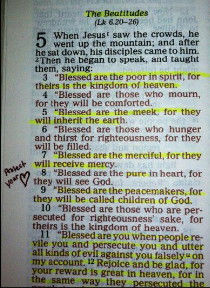 screen-shot-2017-02-11-at-4-29-23-am