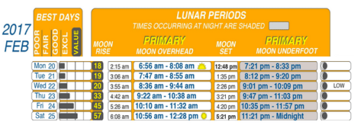 Screen Shot 2017-02-18 at 9.58.53 AM.png