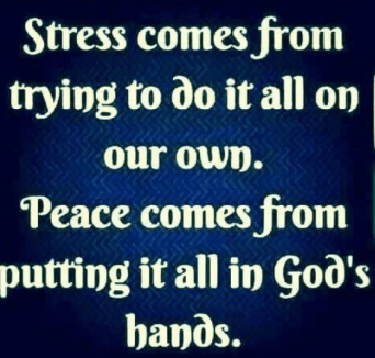 Screen Shot 2017-01-03 at 9.42.53 AM.png