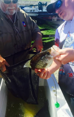 Screen Shot 2017-03-31 at 5.36.06 PM