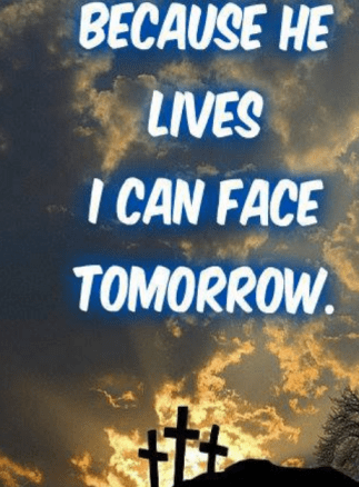 Screen Shot 2017-03-15 at 10.36.00 PM