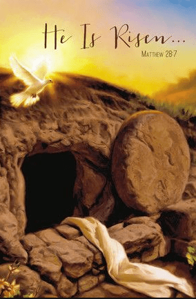 Screen Shot 2017-04-10 at 6.35.45 PM