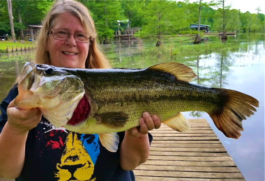 Screen Shot 2017-04-26 at 6.41.37 PM