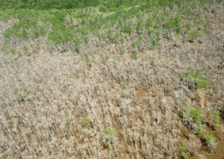 Screen Shot 2017-05-04 at 9.14.14 AM