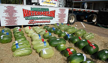 Screen Shot 2017-06-07 at 9.20.16 PM