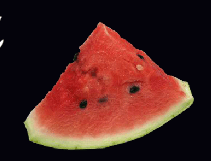 Screen Shot 2017-06-07 at 9.21.53 PM