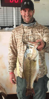 Screen Shot 2017-06-12 at 5.46.38 PM