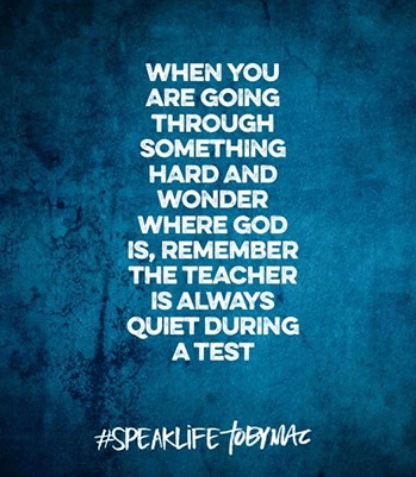 Screen Shot 2016-12-03 at 4.12.20 PM