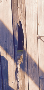 Screen Shot 2017-09-14 at 11.36.14 AM