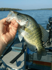 Screen Shot 2017-09-19 at 9.53.18 AM