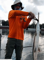 Screen Shot 2017-09-25 at 2.53.54 PM