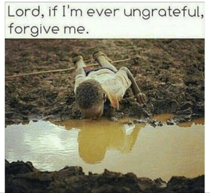 Screen Shot 2017-03-28 at 8.38.24 PM